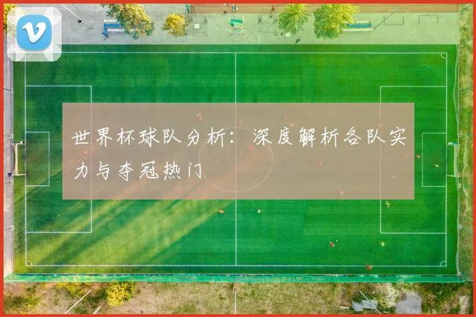 世界杯球队分析：深度解析各队实力与夺冠热门
